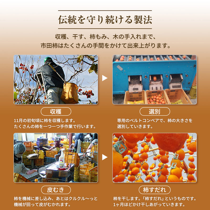 干し柿 【市田屋】 市田柿 2L 約500g 15個 桐箱入り 個包装 贈答用 長野県 高森町 干柿 ころ柿 枯露柿 《12/15頃～12/下旬より出荷》