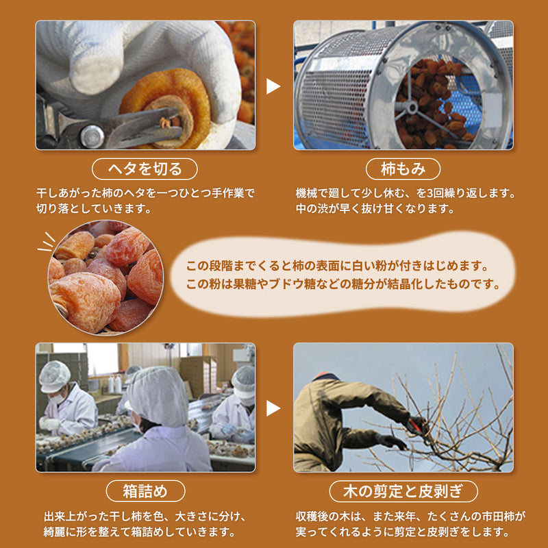 干し柿 【市田屋】 市田柿 ２L 1kg 約30粒 ご家庭用 長野県 高森町  干柿 ころ柿 枯露柿《12/15頃～12/下旬より出荷》