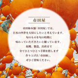 干し柿 【市田屋】 市田柿 ２L 1kg 約30粒 ご家庭用 長野県 高森町  干柿 ころ柿 枯露柿《12/15頃～12/下旬より出荷》