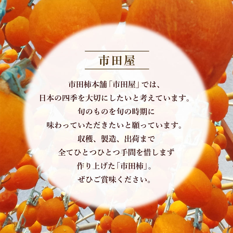 干し柿 【市田屋】 最高級 市田柿 ３L 約1kg 24個 桐箱入り 贈答用 長野県 高森町 干柿 ころ柿 枯露柿 《12/15頃～12/下旬より出荷》