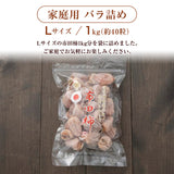 干し柿 【市田屋】 市田柿 L 1kg 約40粒 ご家庭用 長野県 高森町  干柿 ころ柿 枯露柿《12/15頃～12/下旬より出荷》