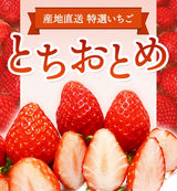いちご 【有慶農園】 とちおとめ  250ｇ×４パック 福島県須賀川 苺 イチゴ