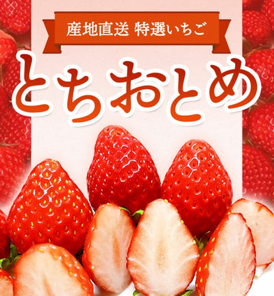 弾ける甘み！選べるサイズ】日置市産いちご「さがほのか」4