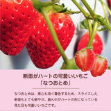 いちご 夏いちご 【いちごハウスM】 なつおとめ M~L 24～30個×2P 栃木県那須町