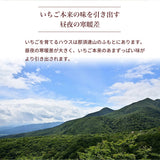 いちご 夏いちご 【いちごハウスM】 なつおとめ M~L 24～30個×2P 栃木県那須町