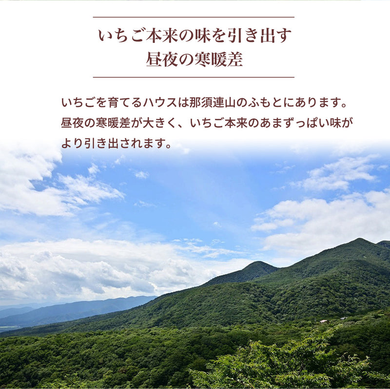 いちご 夏いちご 【いちごハウスM】 なつおとめ M~L 24～30個×2P 栃木県那須町