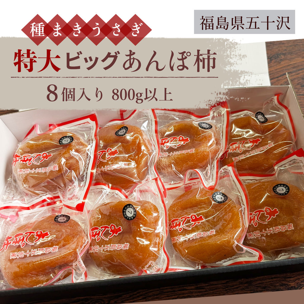 干し柿 【種まきうさぎ】 ビッグあんぽ柿 8個 800g以上 贈答用 化粧箱 福島県 伊達市