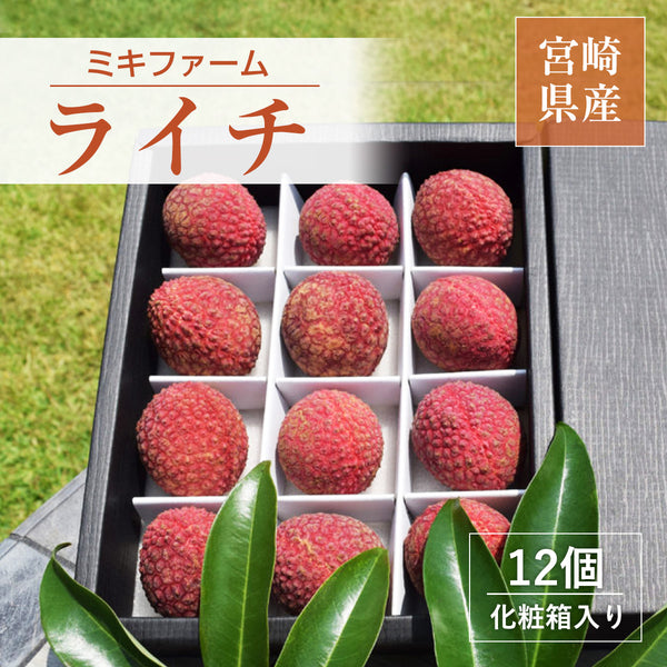 ライチ 【ミキファーム】 国産 生ライチ 450g 特選 大粒 12個 贈答用 御中元 宮崎県高鍋町 《7/上旬～7/下旬の出荷》