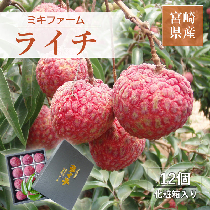 ライチ 【ミキファーム】 国産 生ライチ 450g 特選 大粒 12個 贈答用 御中元 宮崎県高鍋町 《7/上旬～7/下旬の出荷》