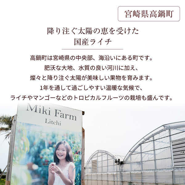 ライチ 【ミキファーム】 国産 生ライチ 450g 特選 大粒 12個 贈答用 御中元 宮崎県高鍋町 《7/上旬～7/下旬の出荷》