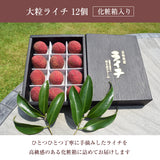 ライチ 【ミキファーム】 国産 生ライチ 450g 特選 大粒 12個 贈答用 御中元 宮崎県高鍋町 《7/上旬～7/下旬の出荷》