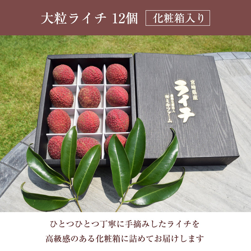 ライチ 【ミキファーム】 国産 生ライチ 450g 特選 大粒 12個 贈答用 御中元 宮崎県高鍋町 《7/上旬～7/下旬の出荷》