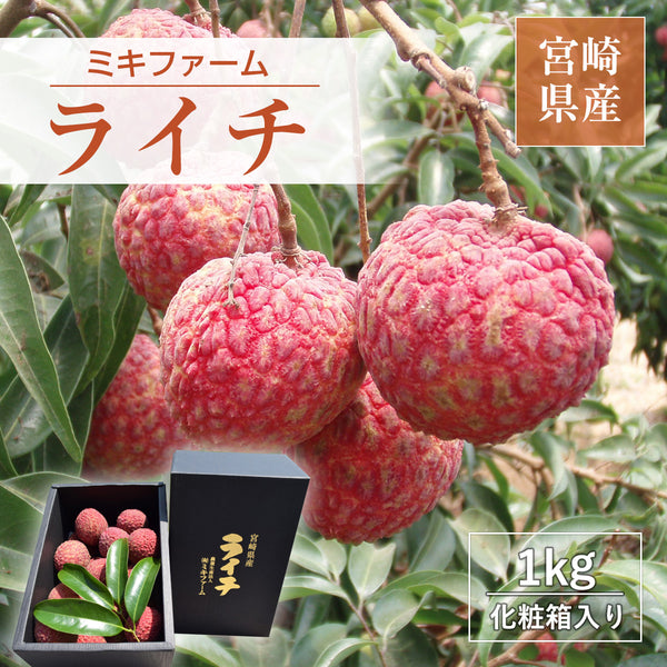 ライチ 【ミキファーム】 国産 生ライチ 1kg サイズ色々 贈答用 御中元 宮崎県高鍋町 《7/上旬～7/下旬の出荷》
