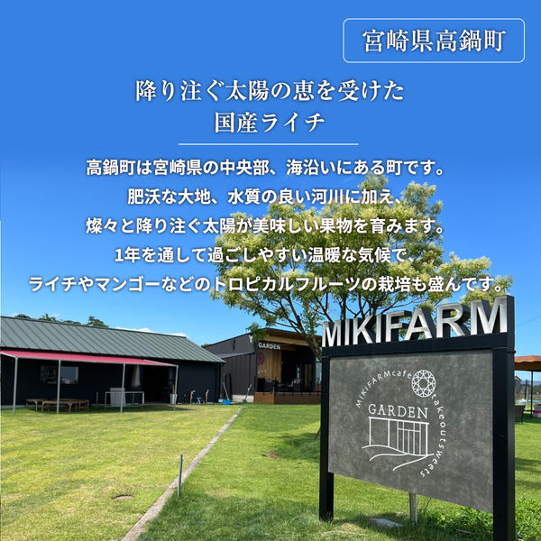 ライチ 【ミキファーム】 国産 生ライチ 1kg サイズ色々 贈答用 御中元 宮崎県高鍋町 《7/上旬～7/下旬の出荷》