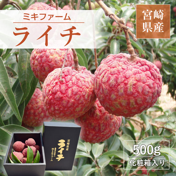 ライチ 【ミキファーム】 国産 生ライチ 500g サイズ色々 贈答用 御中元 宮崎県高鍋町 《7/上旬～7/下旬の出荷》