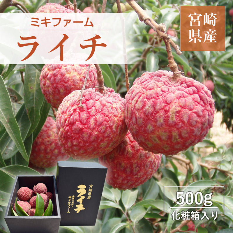 ライチ 【ミキファーム】 国産 生ライチ 500g サイズ色々 贈答用 御中元 宮崎県高鍋町 《7/上旬～7/下旬の出荷》