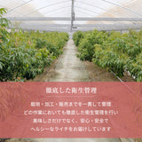 ライチ 【ミキファーム】 国産 生ライチ 500g サイズ色々 贈答用 御中元 宮崎県高鍋町 《7/上旬～7/下旬の出荷》