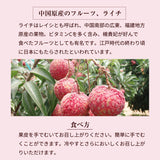 ライチ 【ミキファーム】 国産 生ライチ 500g サイズ色々 贈答用 御中元 宮崎県高鍋町 《7/上旬～7/下旬の出荷》
