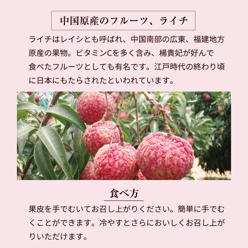 ライチ 【ミキファーム】 国産 生ライチ 500g サイズ色々 贈答用 御中元 宮崎県高鍋町 《7/上旬～7/下旬の出荷》