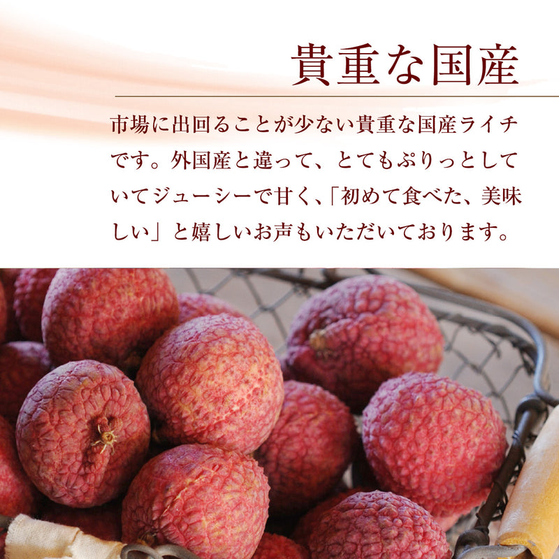 ライチ 【ミキファーム】 国産 生ライチ 500g サイズ色々 贈答用 御中元 宮崎県高鍋町 《7/上旬～7/下旬の出荷》