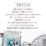 ライチ 【ミキファーム】 国産 生ライチ 500g サイズ色々 贈答用 御中元 宮崎県高鍋町 《7/上旬～7/下旬の出荷》