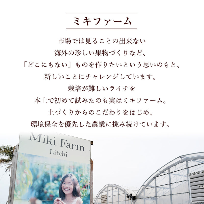 ライチ 【ミキファーム】 国産 生ライチ 500g サイズ色々 贈答用 御中元 宮崎県高鍋町 《7/上旬～7/下旬の出荷》