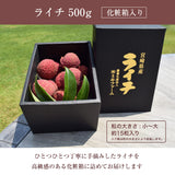 ライチ 【ミキファーム】 国産 生ライチ 500g サイズ色々 贈答用 御中元 宮崎県高鍋町 《7/上旬～7/下旬の出荷》