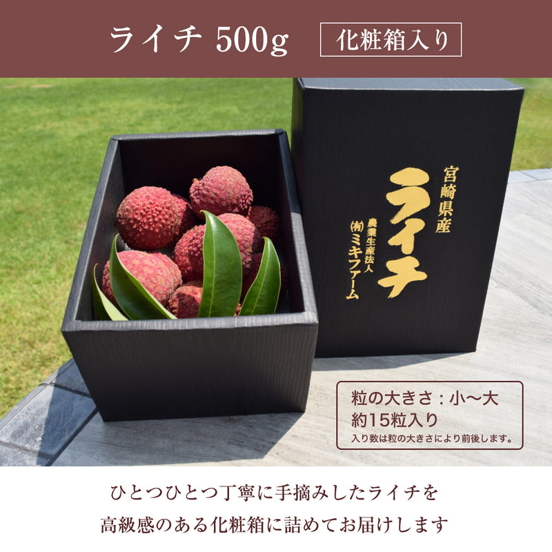 ライチ 【ミキファーム】 国産 生ライチ 500g サイズ色々 贈答用 御中元 宮崎県高鍋町 《7/上旬～7/下旬の出荷》