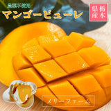冷凍マンゴー 【メリーファーム】 マンゴーピューレ 冷凍 1kg(500g×2)  農薬不使用 化学肥料不使用 栃木県栃木市
