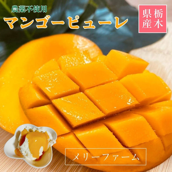 冷凍マンゴー 【メリーファーム】 マンゴーピューレ 冷凍 1kg(500g×2)  農薬不使用 化学肥料不使用 栃木県栃木市