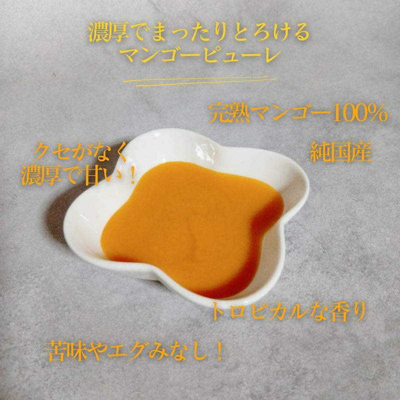 冷凍マンゴー 【メリーファーム】 マンゴーピューレ 冷凍 1kg(500g×2)  農薬不使用 化学肥料不使用 栃木県栃木市