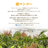冷凍マンゴー 【メリーファーム】 マンゴーピューレ 冷凍 2kg(500g×4) 農薬不使用 化学肥料不使用 栃木県栃木市