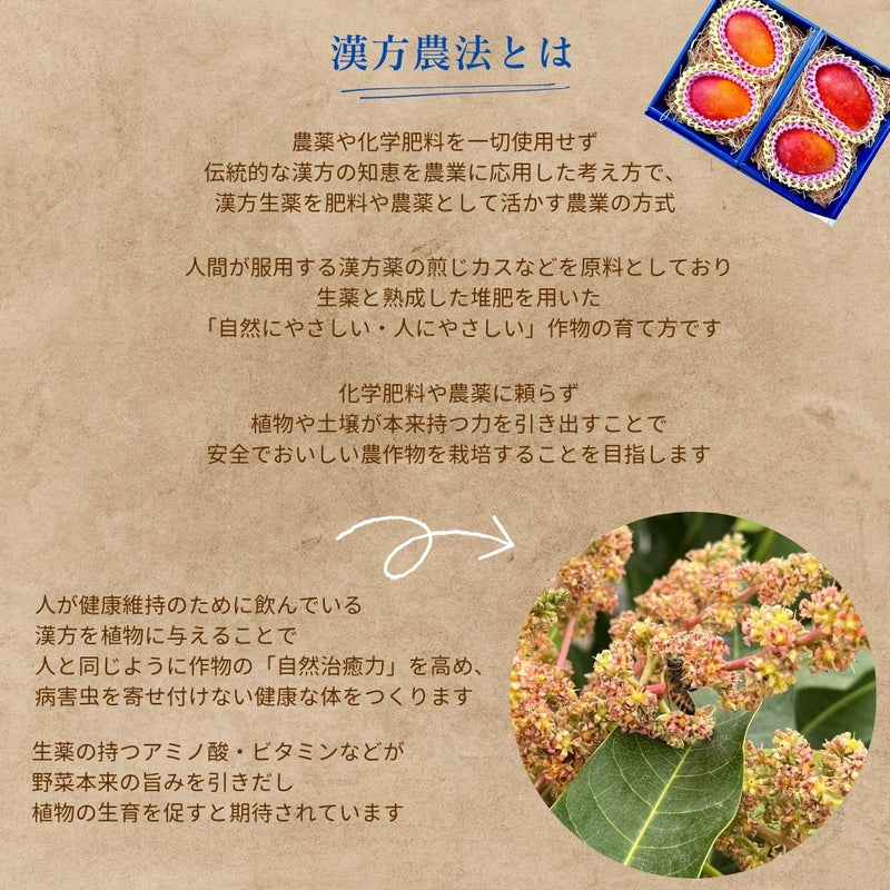 冷凍マンゴー 【メリーファーム】 マンゴーピューレ 冷凍 2kg(500g×4) 農薬不使用 化学肥料不使用 栃木県栃木市