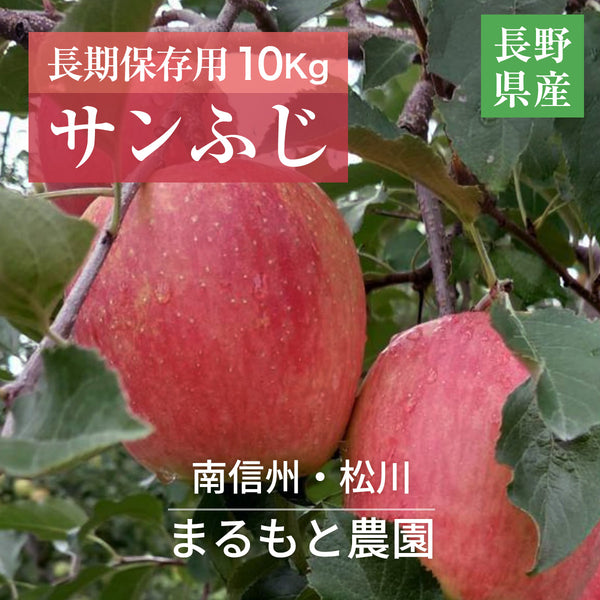 りんご 【まるもと農園】長期保存用 サンふじ 10kg 18～32個 長野県松川町 ふじ フジ 《11/下旬～12/上旬より出荷》 –  にこやか産直アーケード