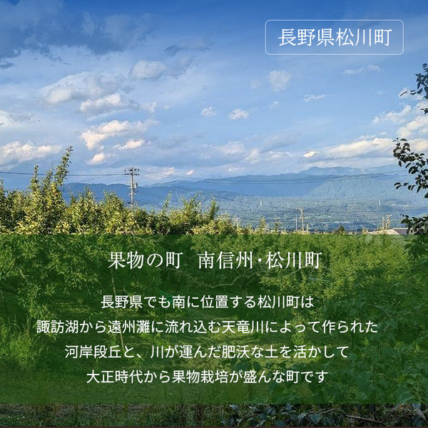 りんご 【まるもと農園】長期保存用 サンふじ 5kg 9～20個 長野県松川町 ふじ フジ《11/下旬～12/上旬より出荷》