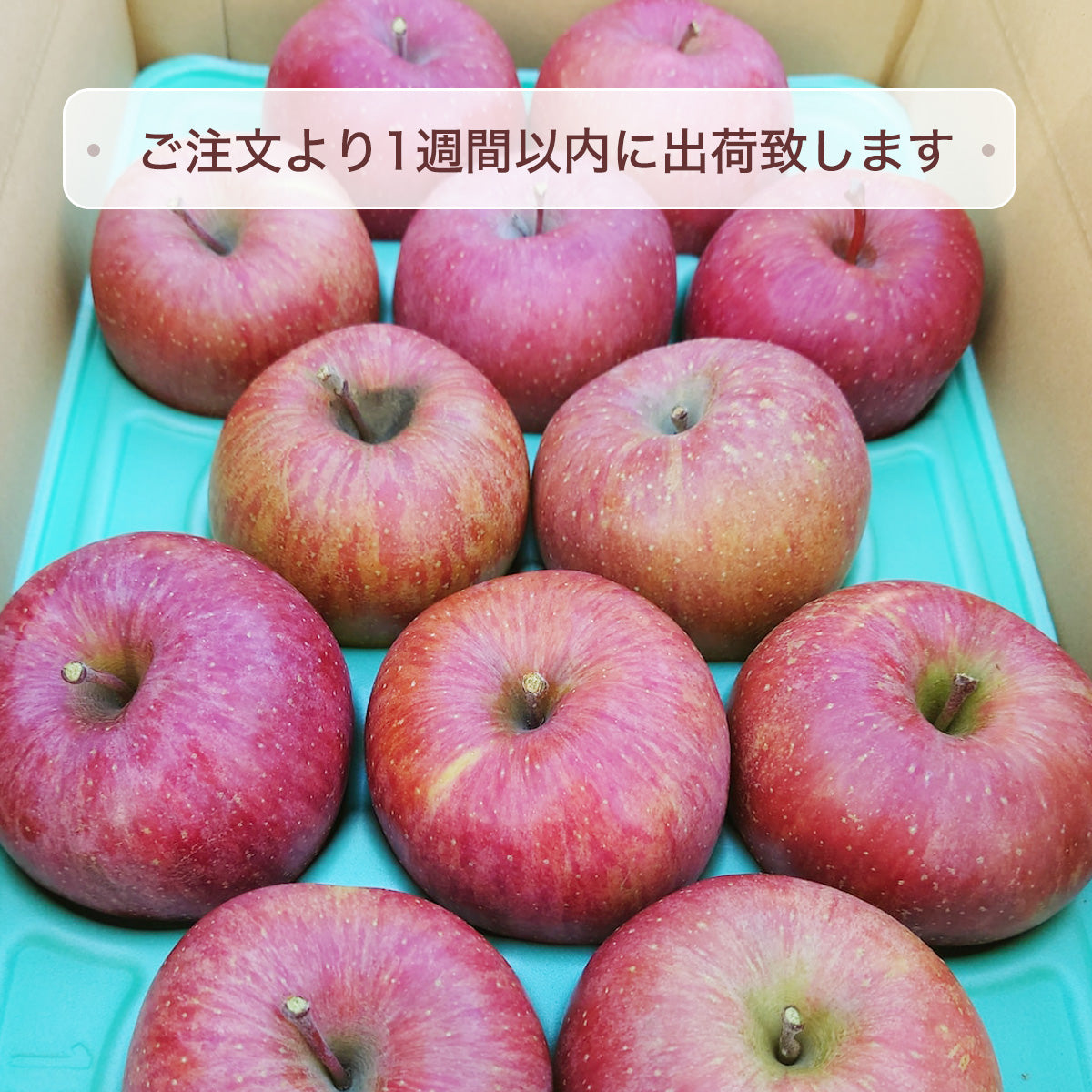 りんごページ 楽天市場】糖度13度前後！信州サンふじりんご10kg！産地直送 サンふじ