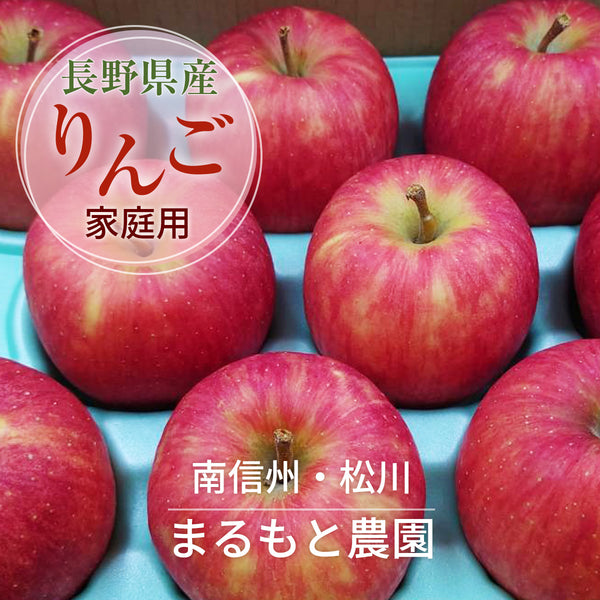りんご 【まるもと農園】 家庭用 2.5kg 6～9個 長野県松川町 林檎 秋映