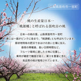 桃 【マルサフルーツ】 もも 大玉 約1.5kg 4～5個 お中元 御中元 山梨県笛吹市 《6/下旬～7/上旬より出荷》