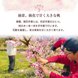 桃 【マルサフルーツ】 もも 山梨一宮産 プレミアム 夢白桃 糖度13.5度以上 特大 2kg 5～6個 お中元 御中元 山梨県笛吹市 《7/上旬～7/中旬より出荷》