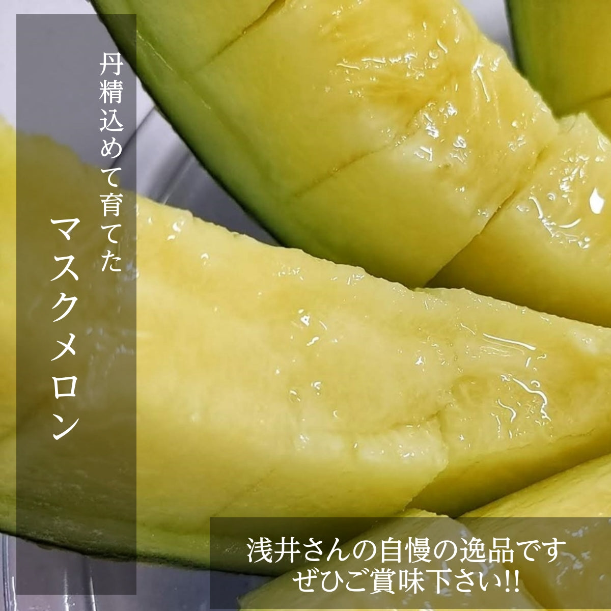 メロン 【あさいメロン農園】 マスクメロン アールスメロン 1玉 1.3kg