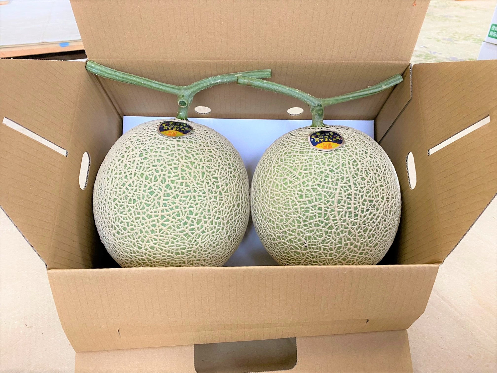 「専用」メロン様 信和株式会社（新デザインが続々登場! 【メロン専用ボックス