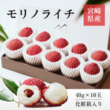 ライチ 【森緑園】 国産 生ライチ モリノライチ 400g 10玉 糖度15度 贈答用 宮崎県 《6/下旬～7/中旬の出荷》
