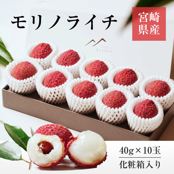 ライチ 【森緑園】 国産 生ライチ モリノライチ 400g 10玉 糖度15度 贈答用 宮崎県 《6/下旬～7/中旬の出荷》