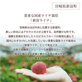 ライチ 【森緑園】 国産 生ライチ モリノライチ 400g 10玉 糖度15度 贈答用 宮崎県 《6/下旬～7/中旬の出荷》