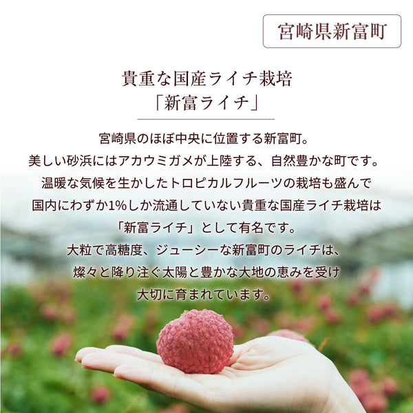 ライチ 【森緑園】 国産 生ライチ モリノライチ 400g 10玉 糖度15度 贈答用 宮崎県 《6/下旬～7/中旬の出荷》