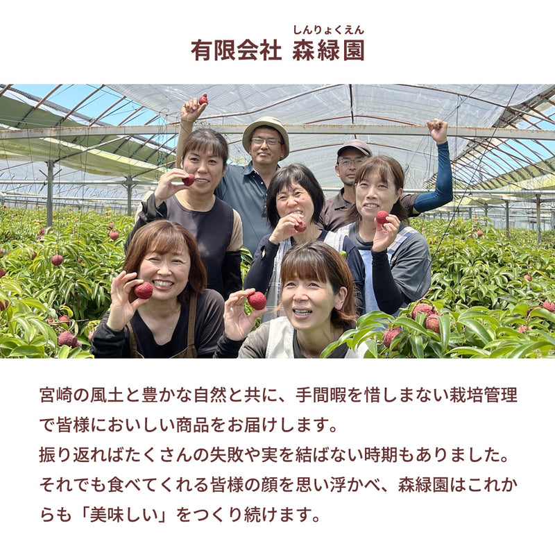 ライチ 【森緑園】 国産 生ライチ モリノライチ 400g 10玉 糖度15度 贈答用 宮崎県 《6/下旬～7/中旬の出荷》