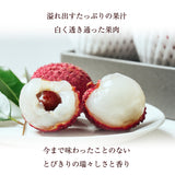 ライチ 【森緑園】 国産 生ライチ モリノライチ 400g 大サイズ 8玉 糖度15度 贈答用 宮崎県 《6/下旬～7/中旬の出荷》