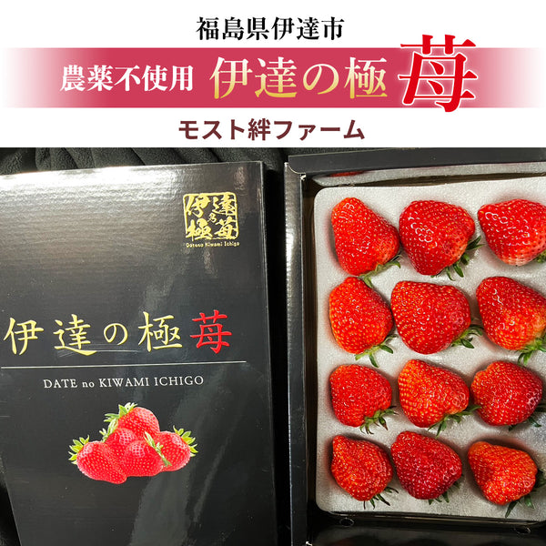 いちご 【モスト絆ファーム】 農薬不使用 特選 伊達の極み苺 400g 福島