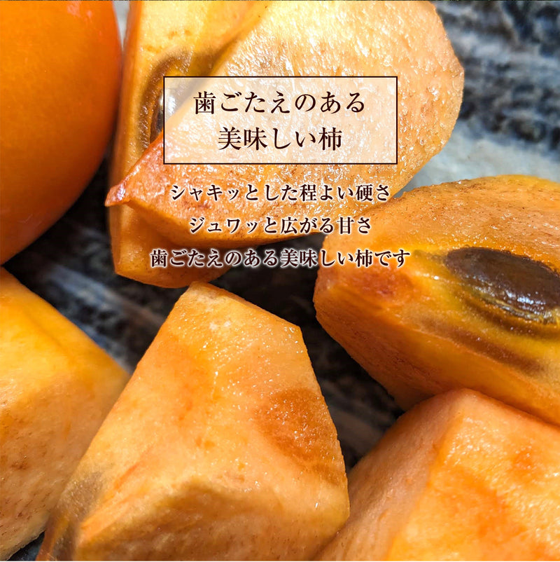 柿 甘柿 【成田柿園】 やさとの柿 富有柿・次郎柿等  3.5kg 3L 12個 茨城県石岡市《11/上旬～11/中旬より出荷》