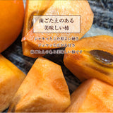 柿 甘柿 【成田柿園】 やさとの柿 富有柿・次郎柿等  3.5kg 2L 14個 茨城県石岡市《11/上旬～11/中旬より出荷》